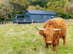 Property grounds - 1 bedroom accommodation in Duror, Appin (Duror, Appin)
