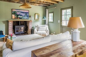 TV connectée, cheminée, livres