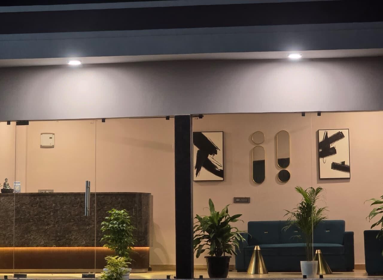 A reception area with a reception desk, a blue sofa, and several potted plants.