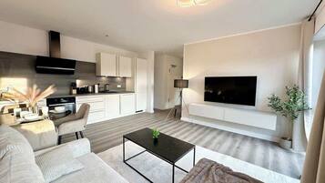 Fernseher, Arbeitsbereiche