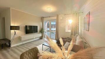 Fernseher, Arbeitsbereiche