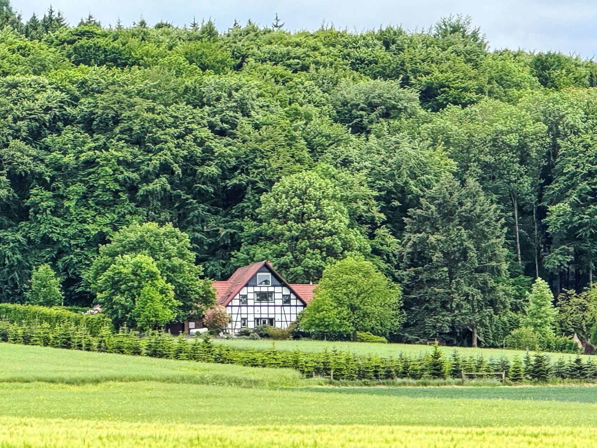 Aussenbereich