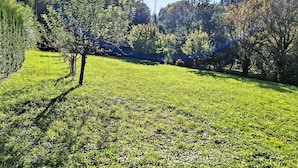A grassy field with trees and a clear sky.