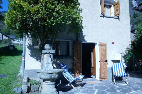 Blumentopf, Zimmerpflanze, Schatten, Gartenmöbel, Garten, Stuhl, Hinterhof, Garten, Landscaping, Hof