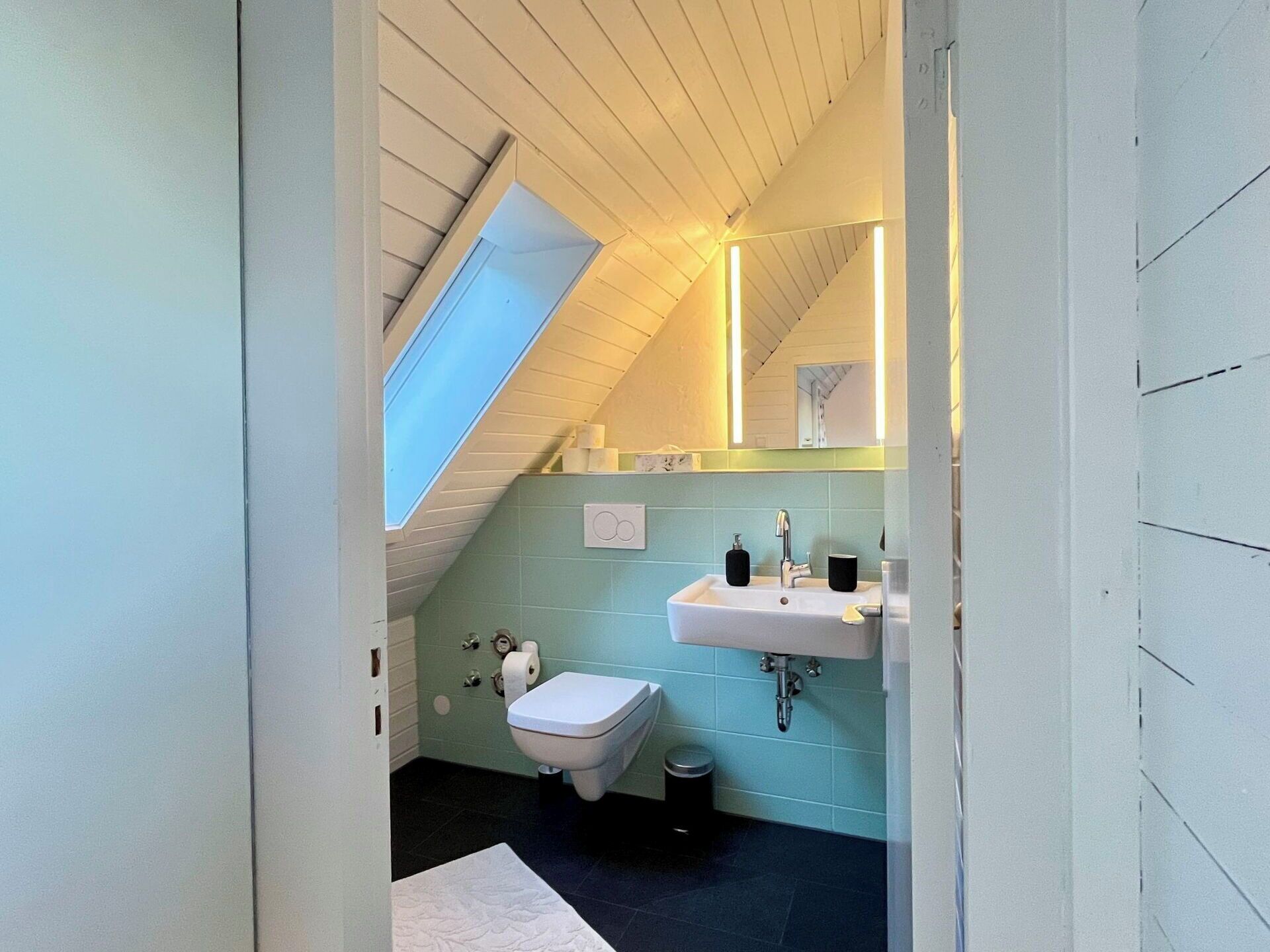 Une petite salle de bain compacte, dotée d’un puits de lumière, d’un lavabo blanc et de toilettes.