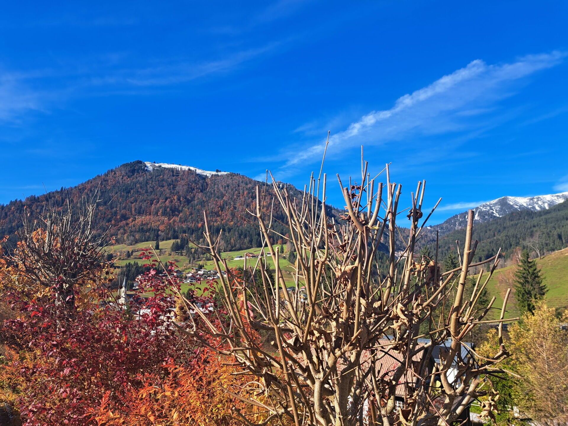 Mountainous Landforms, Leaf, Mountain, Branch, Hill, Highland, Landscape, Wilderness, Mountain Range, Ridge