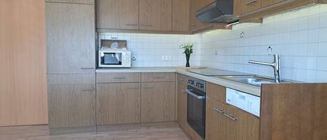 Microondas, horno y lavavajillas