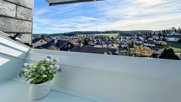 Ein Balkon mit einem Blumentopf, Blick auf eine Wohngegend und einem klaren Himmel.