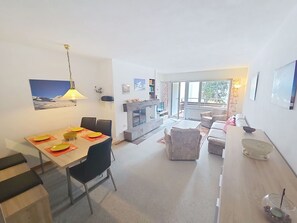 TV, fireplace, DVD player