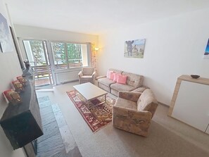 TV, fireplace, DVD player