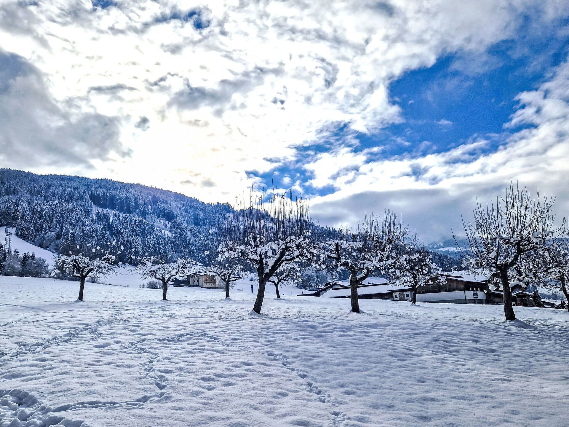 Schnee, Blau, Winter, Ast, Landschaft, Einfrieren, Steigung, Geologisches Phänomen, Zweig, Bergstation