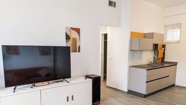 Un apartamento moderno con una televisión de pantalla plana sobre un mueble blanco, una cocina con un lavamanos y armarios, y suelo de madera.