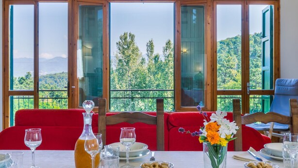 Mesa de comedor dispuesta con platos, vasos y un florero, con vista a un bosque a través de amplias ventanas.