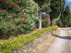 Un jardín con un camino de grava, diversas plantas en flor y árboles altos.
