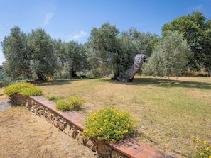 A garden with olive trees, a stone wall, and yellow flowering plants. - Nice apartment for 3 guests with A/C, WIFI, pool, terrace, pets allowed and panoramic view (Campiglia Marittima)