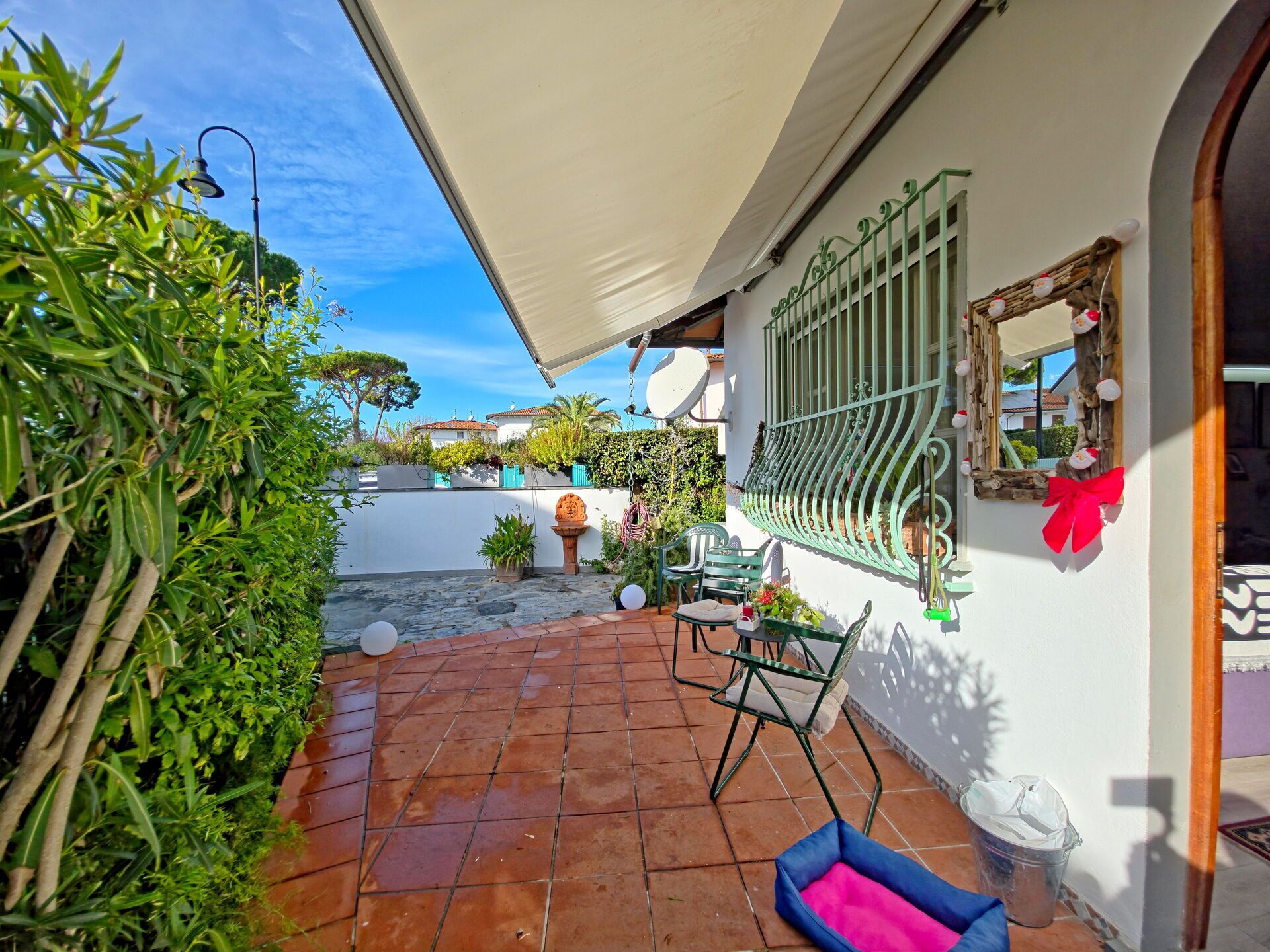 テラス / パティオ