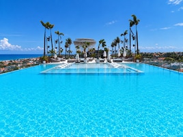 A large, clear blue pool with lounge chairs and umbrellas, surrounded by palm trees and a view of the ocean.