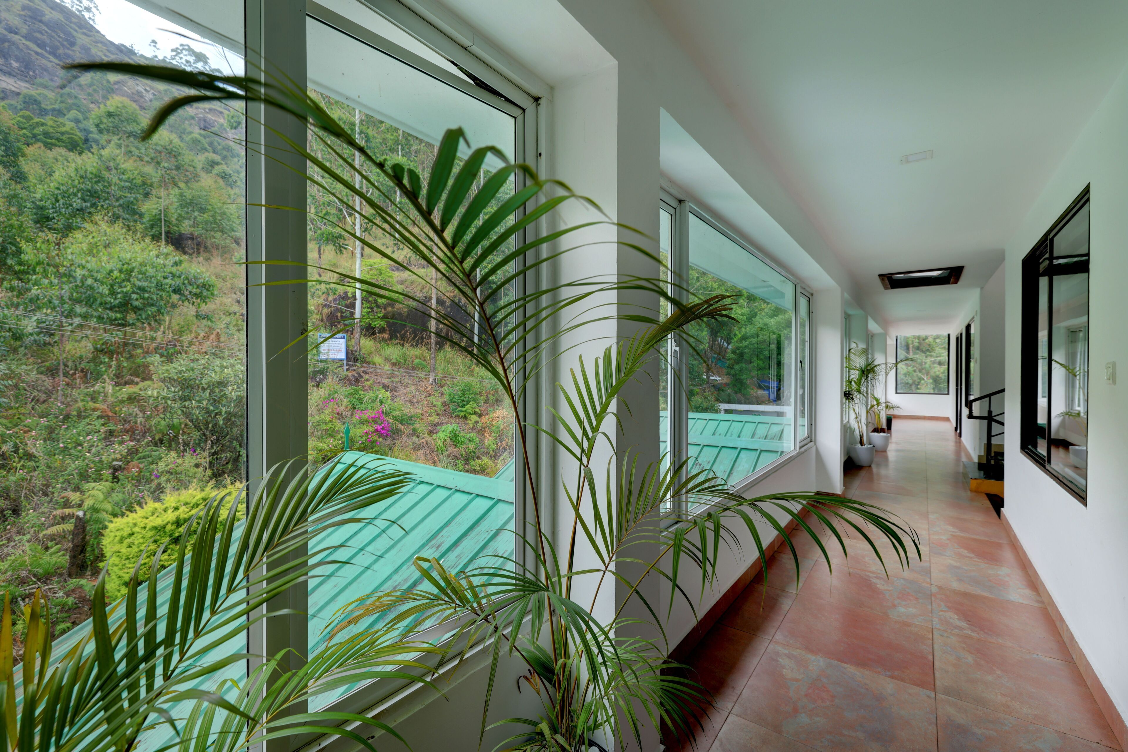 A corridor with large windows, potted plants, and a view of greenery outside.