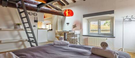 Una scrivania, ferro/asse da stiro, Wi-Fi, lenzuola