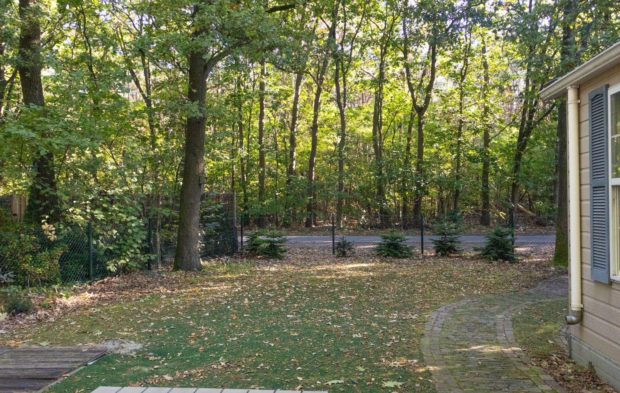 Ein Weg führt zu einem Haus, umgeben von einem bewaldeten Gebiet.