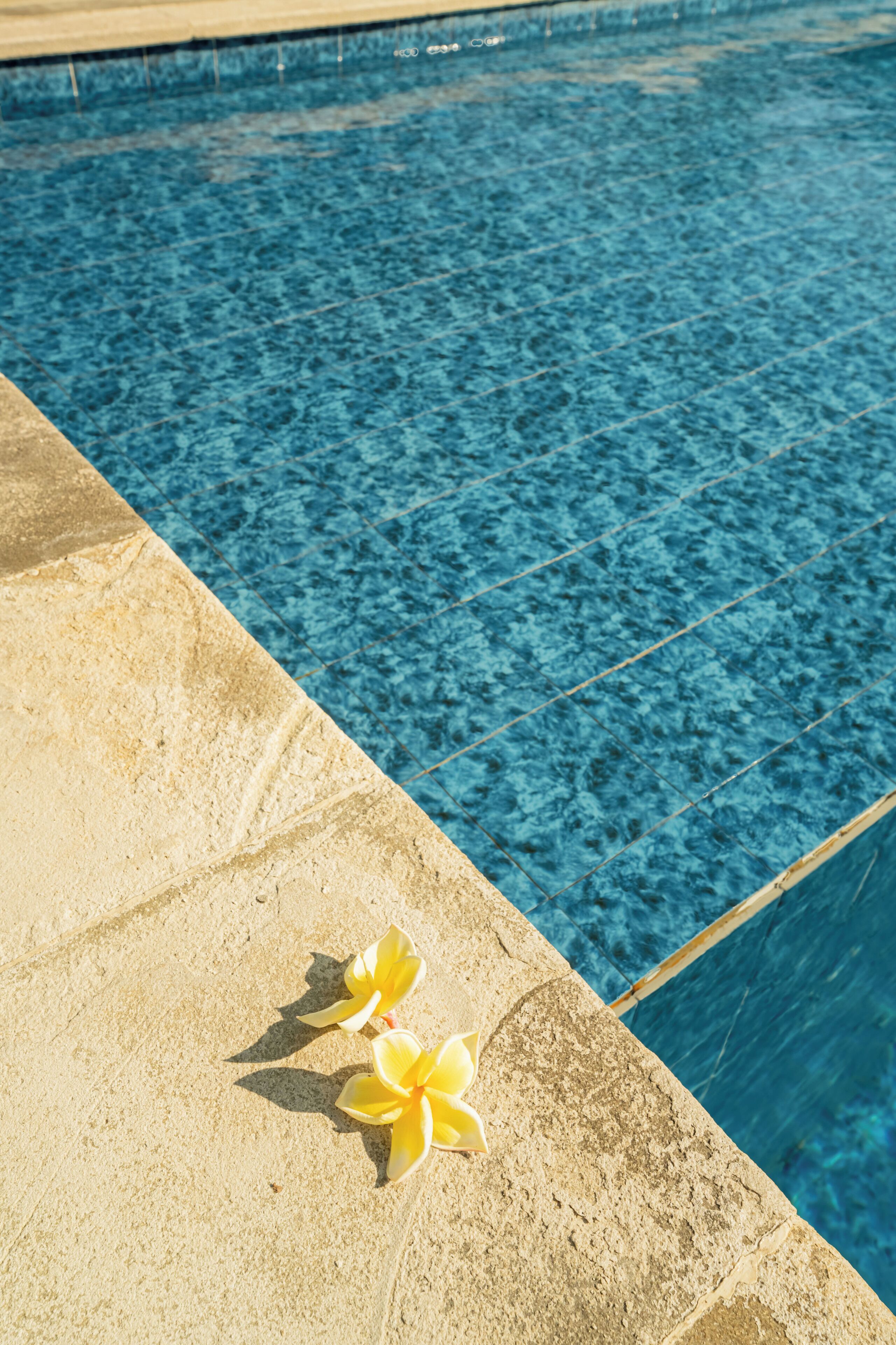 A pool with clear blue water and a tiled edge.