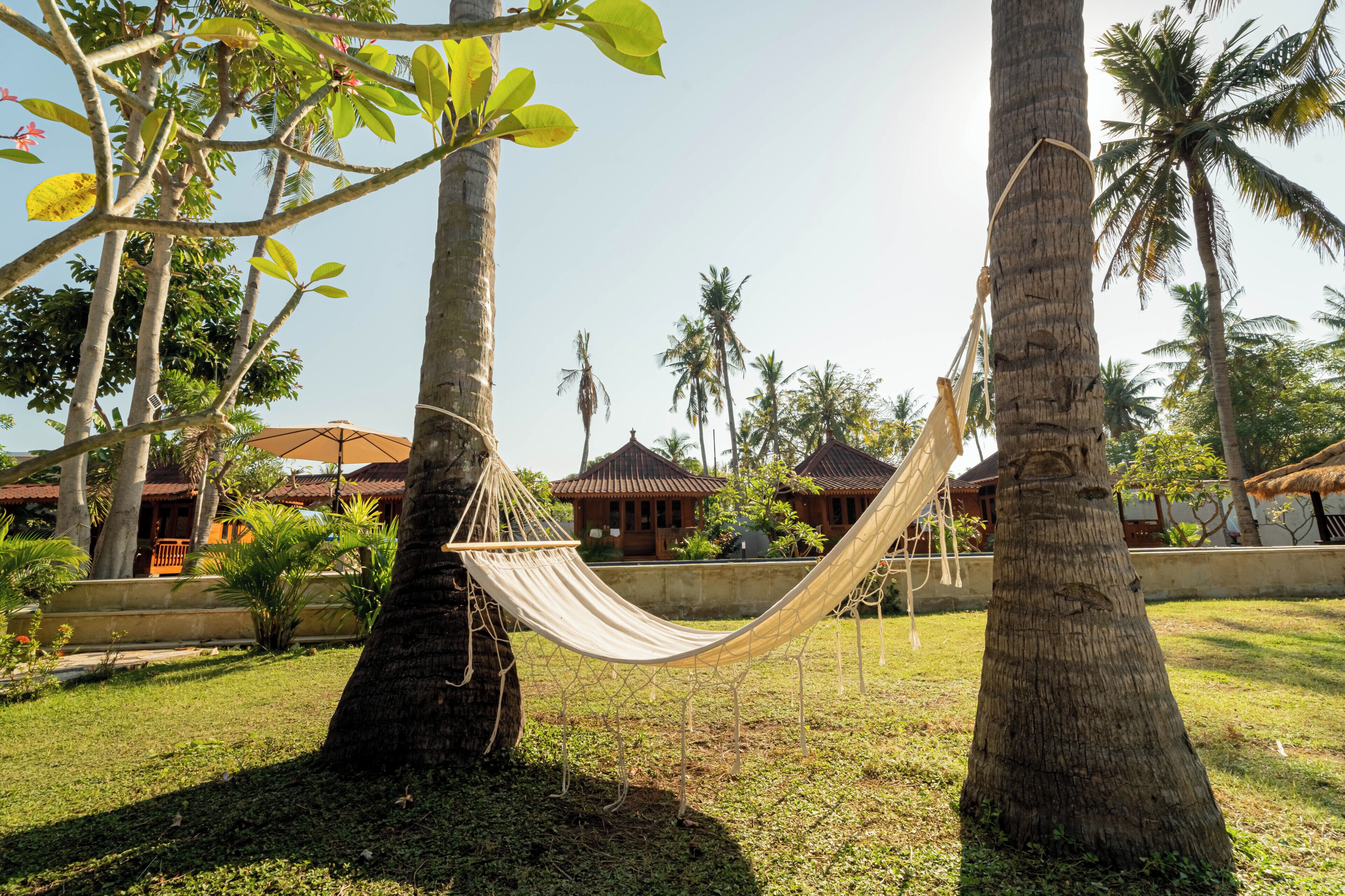 A hammock between two palm trees in a tropical setting with traditional-style buildings in the background.