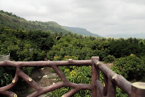 Vue depuis l’hébergement