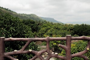 Vista des de l'allotjament