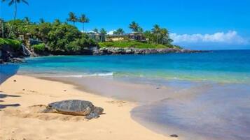 Condo, vista al océano | Vista a la playa o el mar