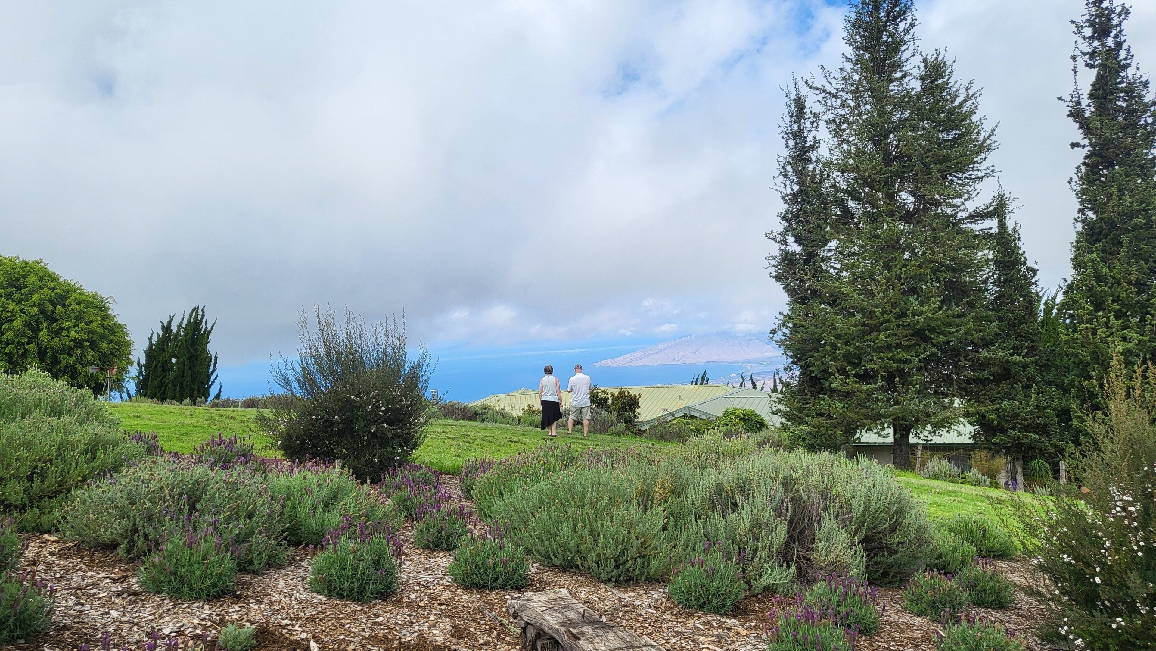 جولات سياحية بيئية