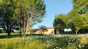 Paisaje rural con una casa, árboles y un campo de flores blancas.