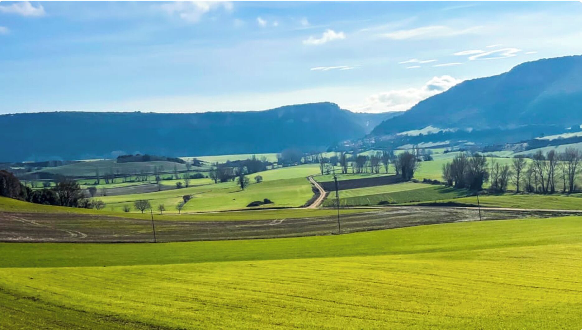 Un paisaje rural con campos, un camino de tierra y montañas al lejano.