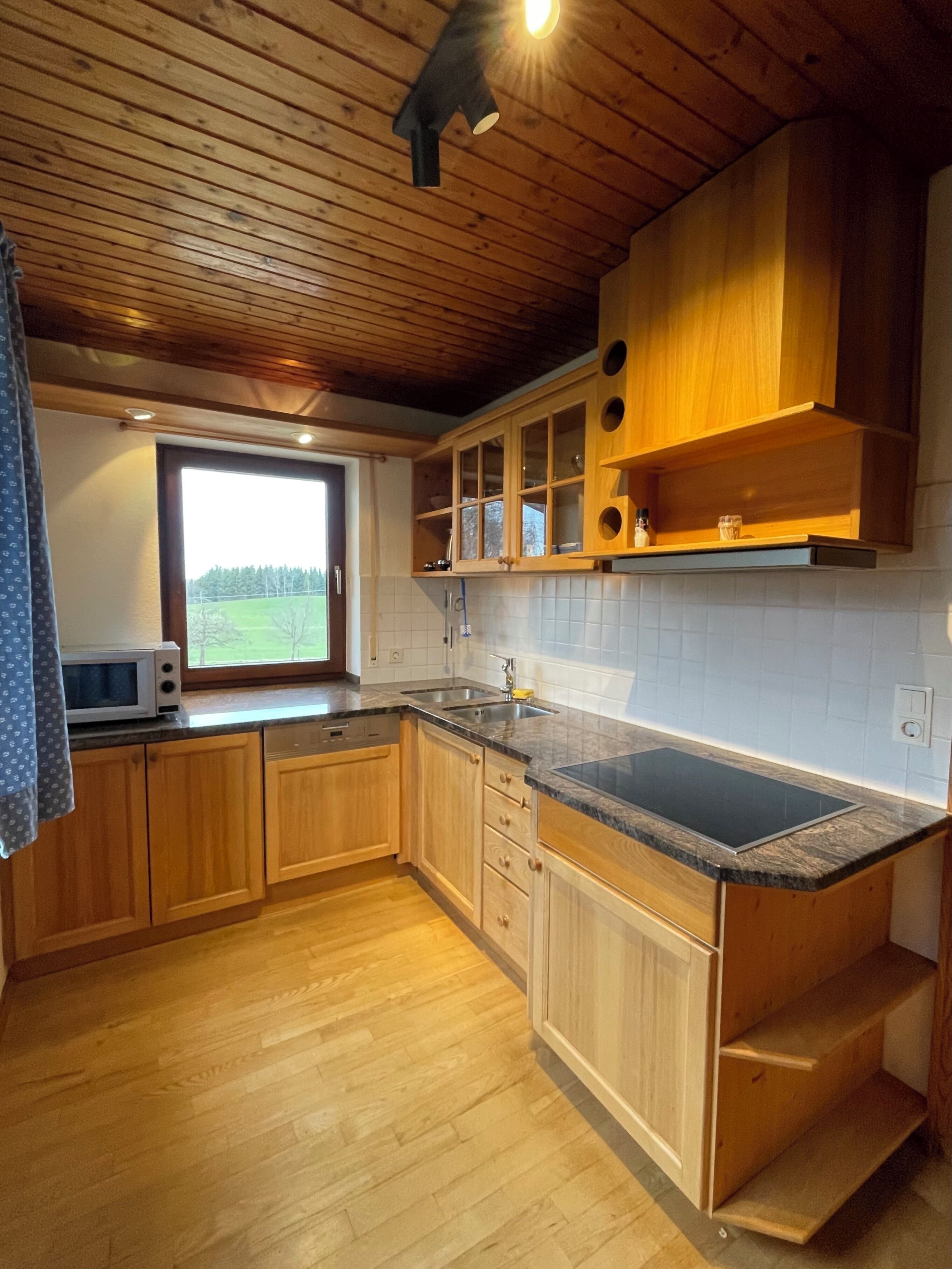 Mikrowelle, Ofen, Herdplatte, Geschirrspüler