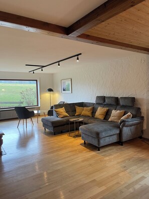 Televisor i llar de foc 