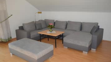 Fernseher, Stereoanlage