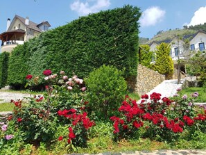 Exterior - Sofra e Shpatit Hotel (Gjinar)