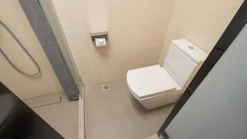 A small, clean bathroom with a toilet, a shower area, and a toilet paper holder.