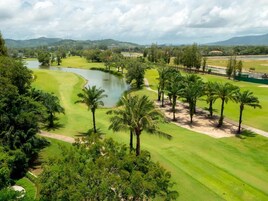 Vista desde la propiedad