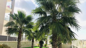 A landscaped area with palm trees and artificial grass, bordered by a white wall and a building with balconies. - Modern 2 Bedroom Apartment in Villamartin 3 Pools, Padel, Jacuzzi Sandy Beaches (Villamartín)