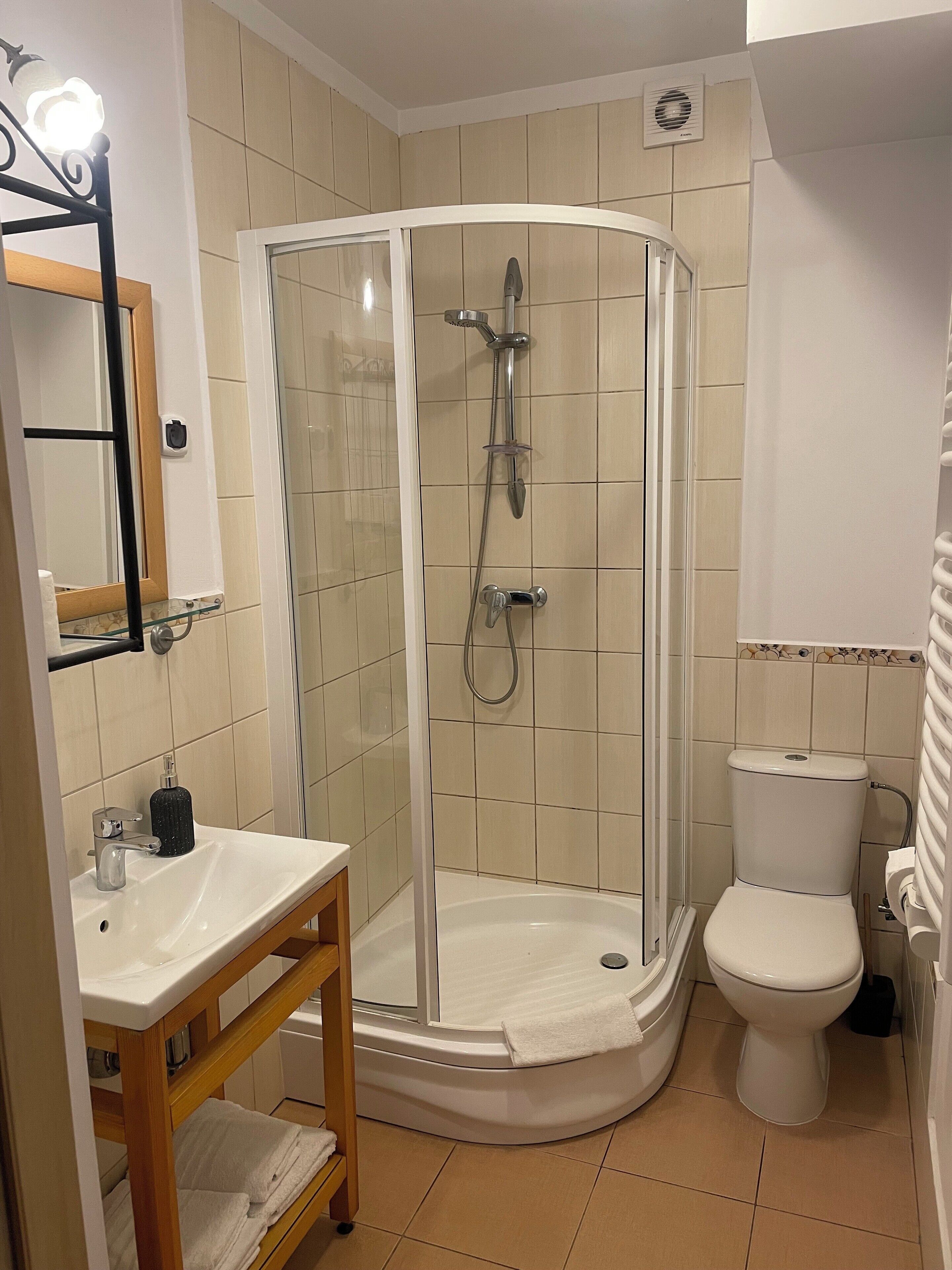 Un baño con ducha de mampara de vidrio, lavamanos con espejo y un inodoro.