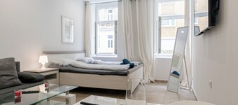 スタイリッシュ 1ベッドルーム スタジオ イン セントラル ウィーン