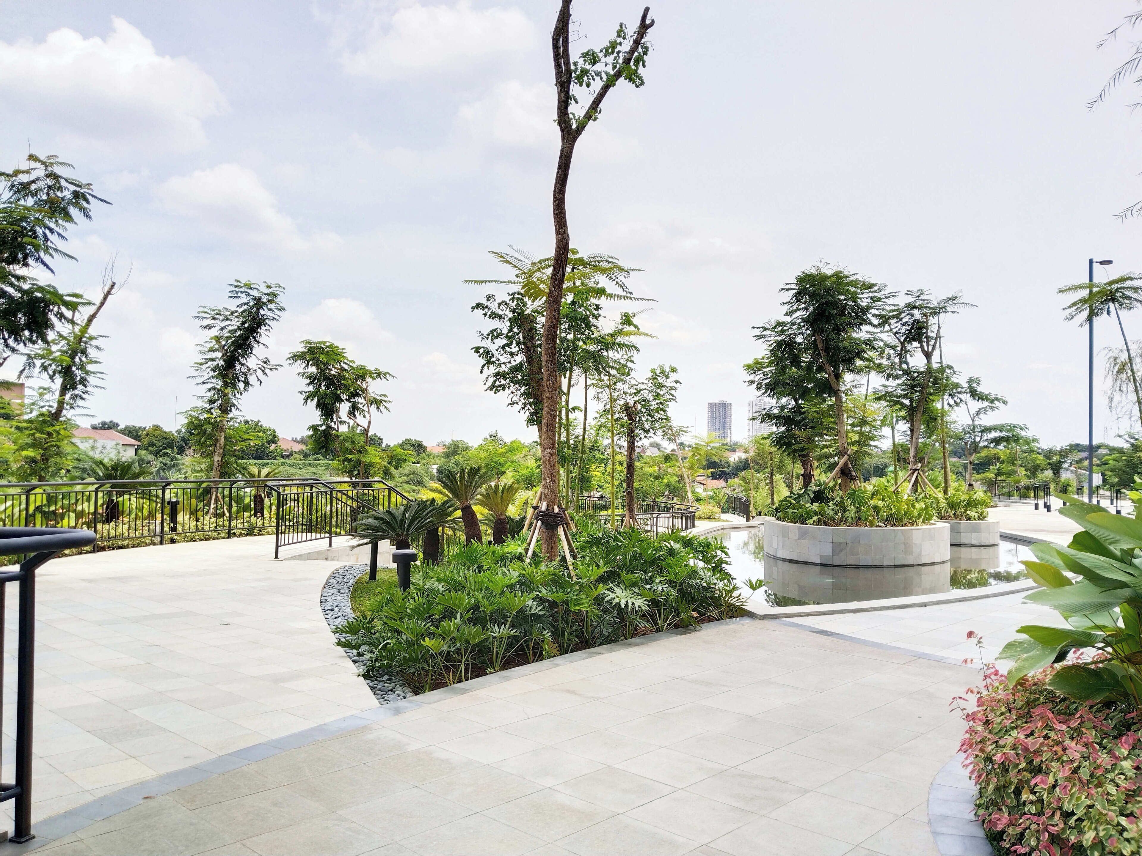 A landscaped outdoor area with a paved walkway, various plants, and a tall tree.