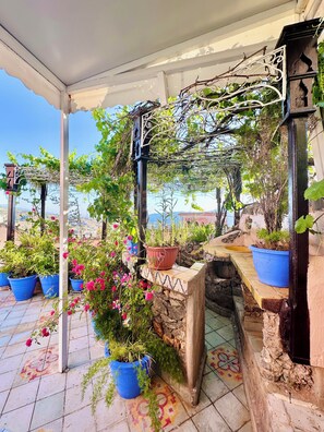 Terrace/patio - Riad Dar Meziana (Chefchaouen)