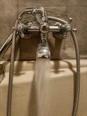 Shower, hair dryer, towels, toilet paper