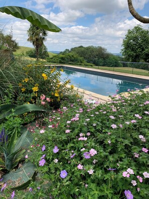 A swimming pool surrounded by lush greenery and flowering plants. - LARGE BEARNAISE COUNTRY HOUSE (SAUVELADE)