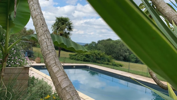 A pool surrounded by tropical plants and a clear sky. - LARGE BEARNAISE COUNTRY HOUSE (SAUVELADE)