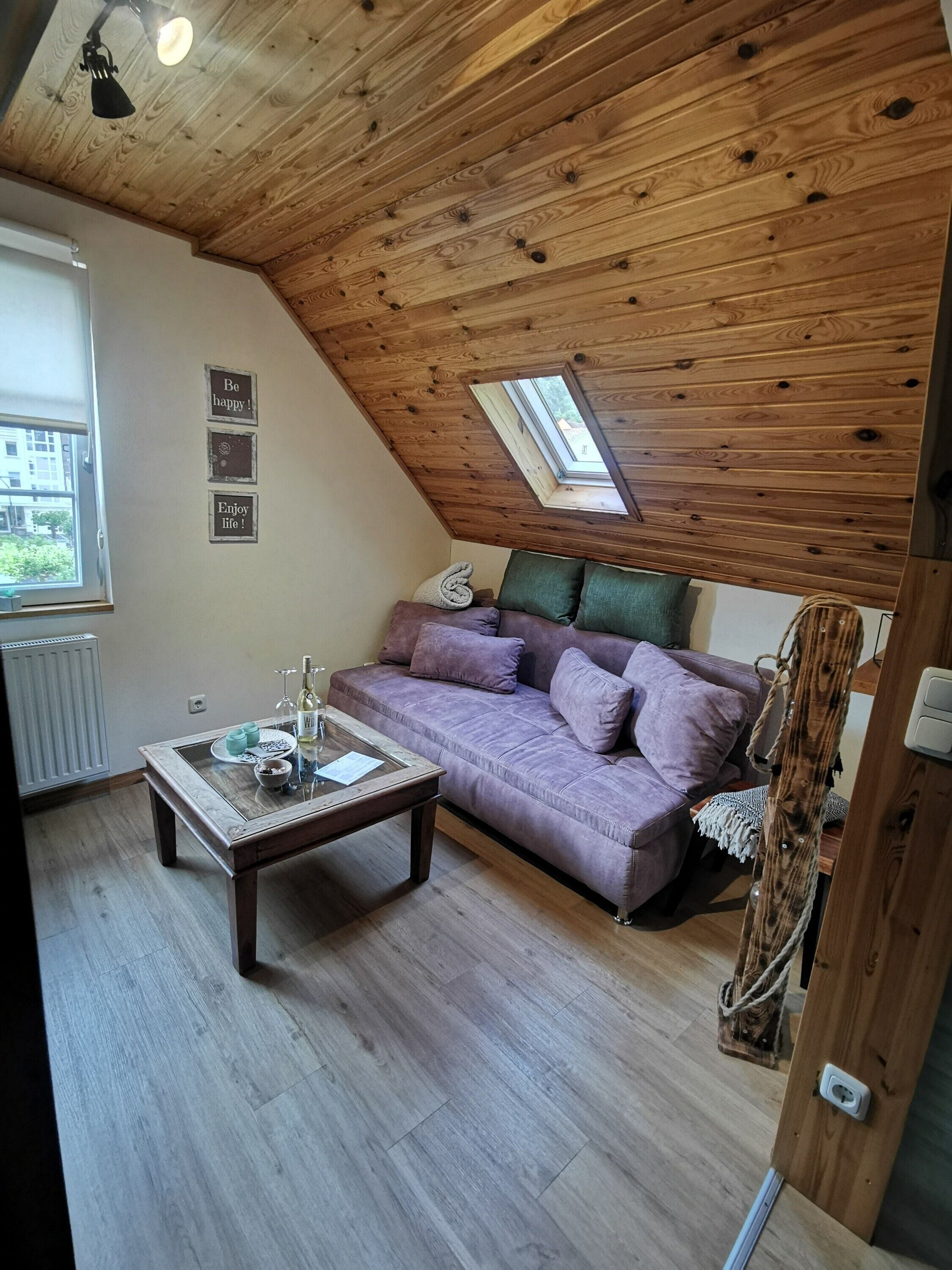 Televisión y reproductor de DVD 