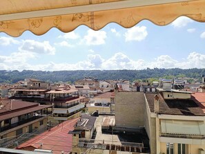 Vista desde la propiedad