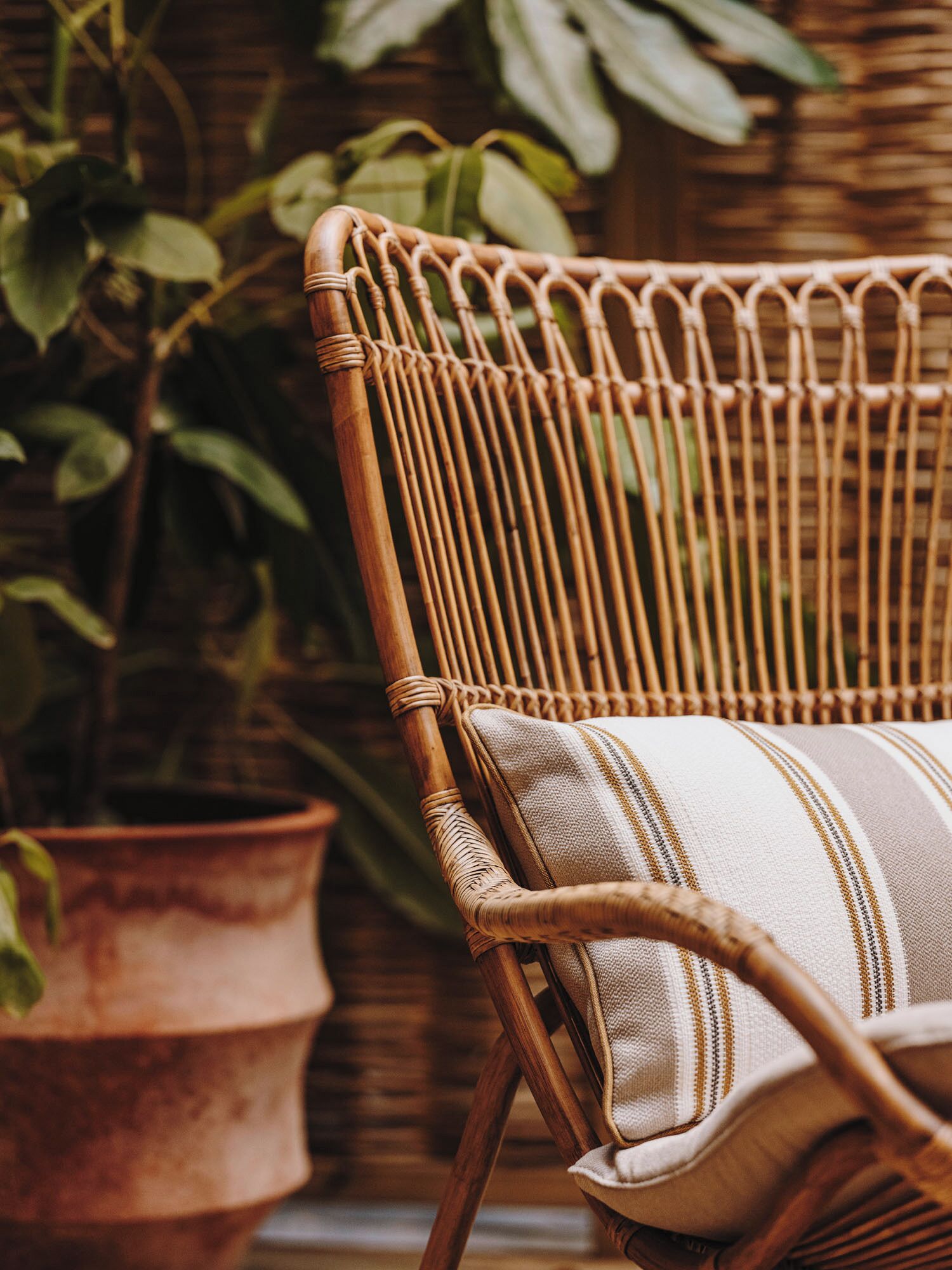 A wicker chair with a striped cushion, a potted plant, and a rustic wall.