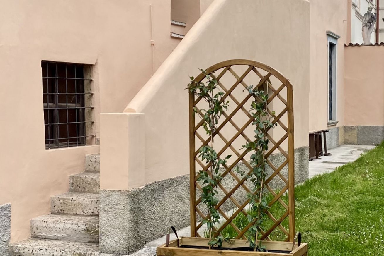 A wooden lattice gate with climbing plants, a stone staircase, and a building facade.